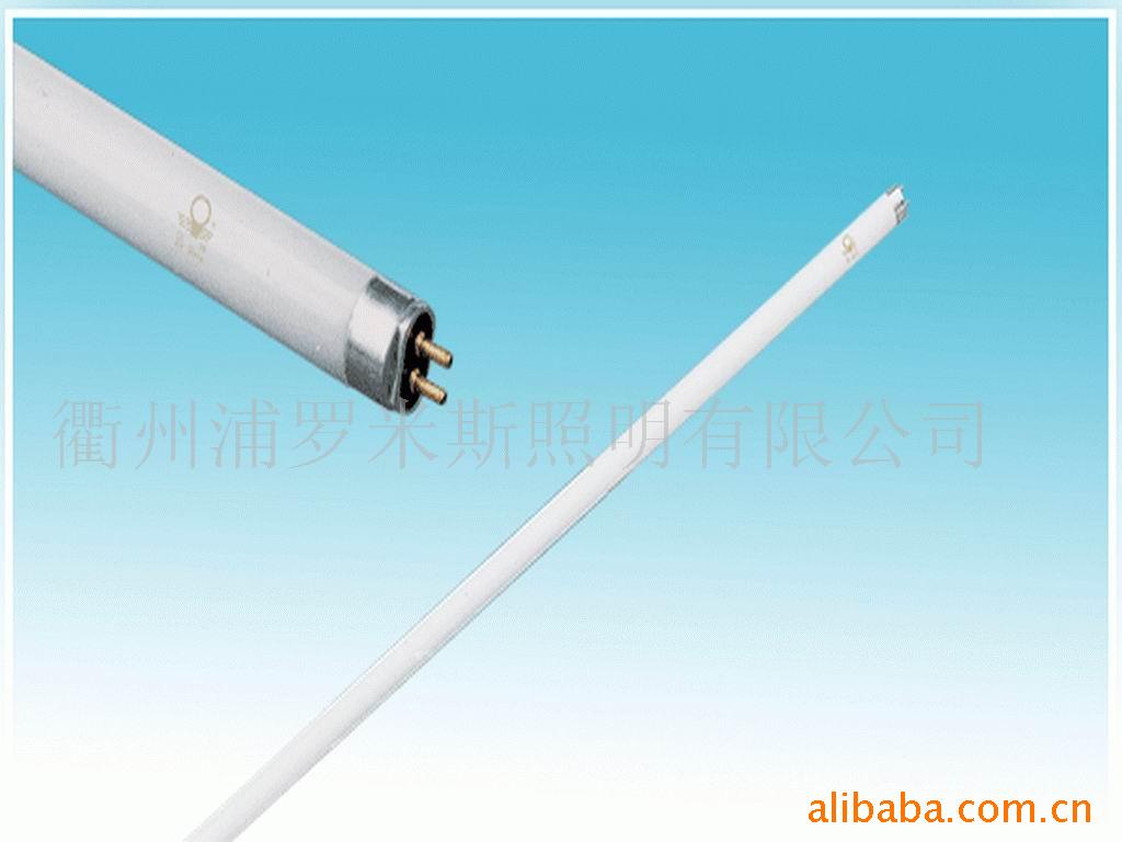 T4直型荧光灯管