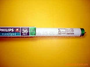 T8׼ܹ36W