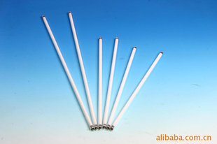 T521W˫ӫơֱӫơܵơ