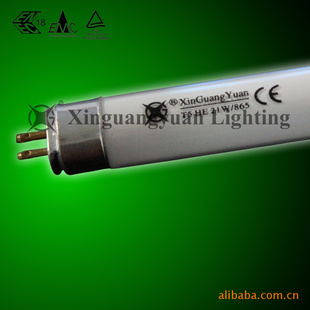 T521WЧӫƹ