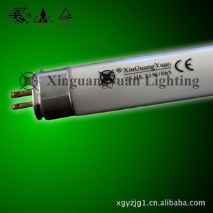 T5ӫƹ14W-4100K̡