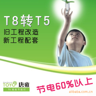 T5ЧܵϺӺ19.5W(120cm)T5չ
