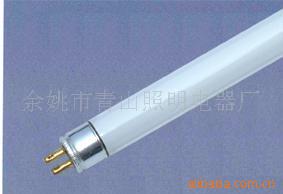 T56Wӫ