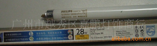 PHILIPST528W/830ϸƹ