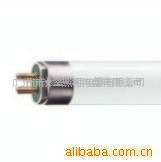 T5ƹ14W/21W/28W