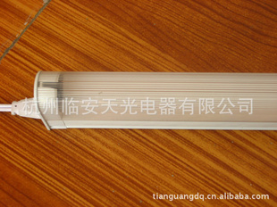 20WT5ӫƹ