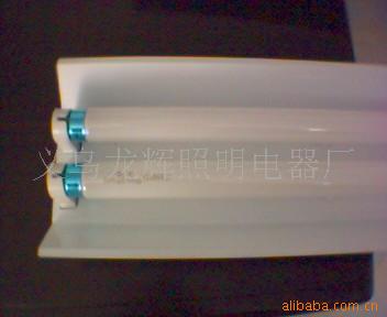T8˫ֽ֧ӫ