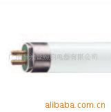 T5ƹ35W