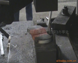 豸