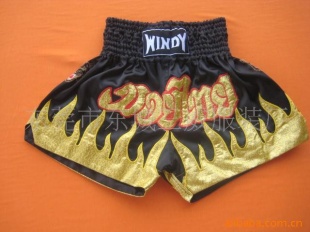 ̩WINDY̩ȭ