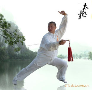 武术服太极服颜其全