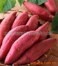 عϵعϵعϵع25