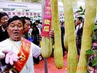 濳泤-(ͼ)
