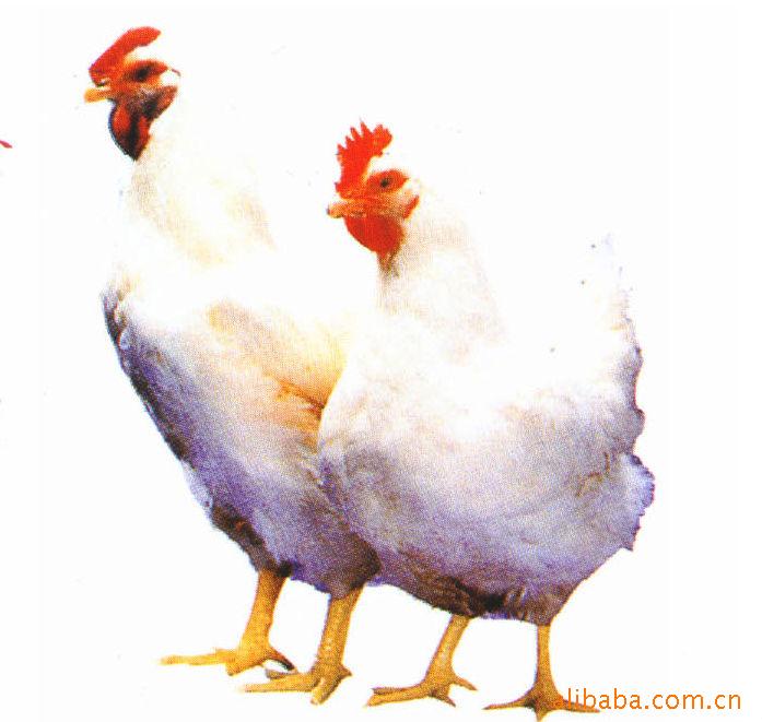 ϻ缦AA⼦磬ֵݼ磬Ƽ