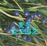ձϸҶ󶬡Ҷ󶬡Ҷ󶬡(ͼ)