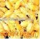 ѿ