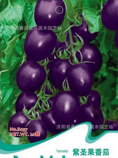 ʥѺ觷