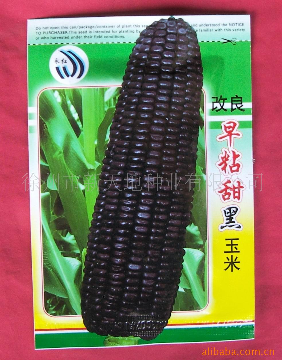 ճ(ͼ)