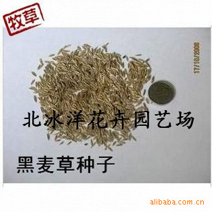ں,,ʿԺ,Ӧֲ,Ʒּ!