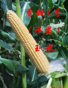 “1”