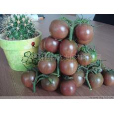 20ӣҷ-ձڣ߲ӣ