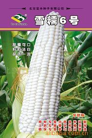 Ŵ
