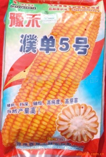 ӣ姵5
