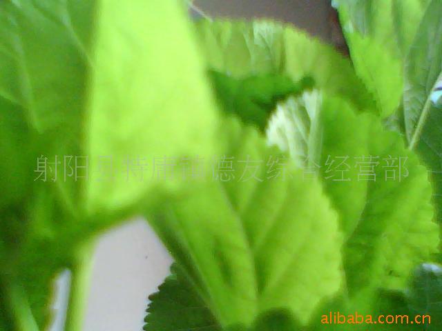 Ʒ71һ1ũɣ1412ѡ792#Ӧ