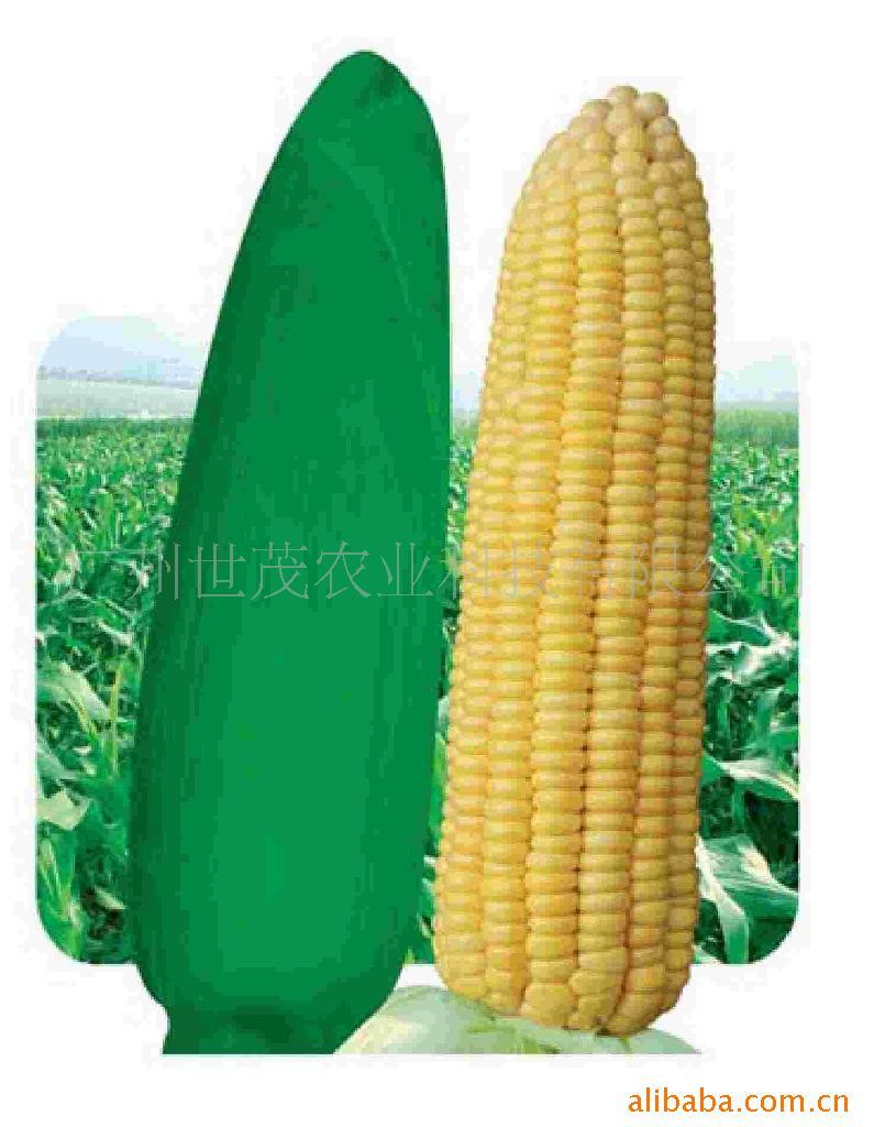 һ(۸ͻ)