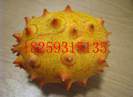 ιֲ