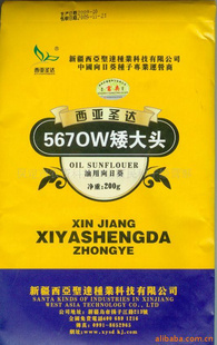 Ϳ567OWͷ