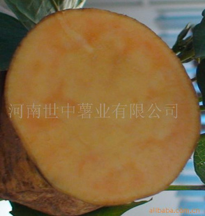 ҵʺ