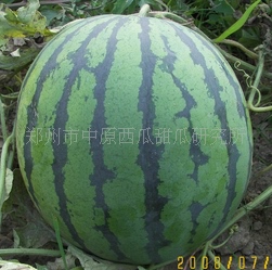 ͸߲-Բ3