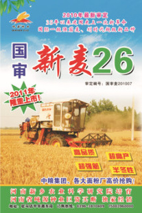 פ򳬸߲ǿСƷ26