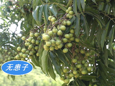 ޻ӡѡƷ