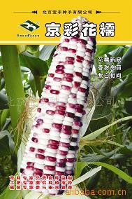ճŴ