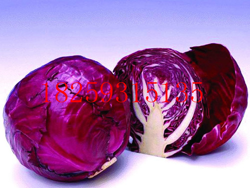 ϸֲ