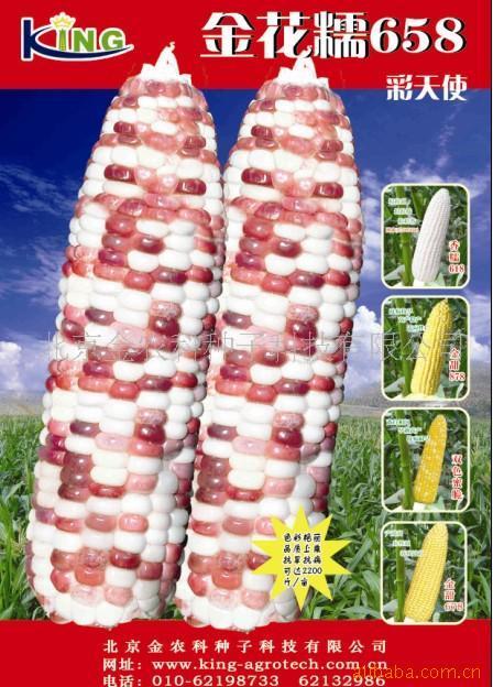 Ŵ
