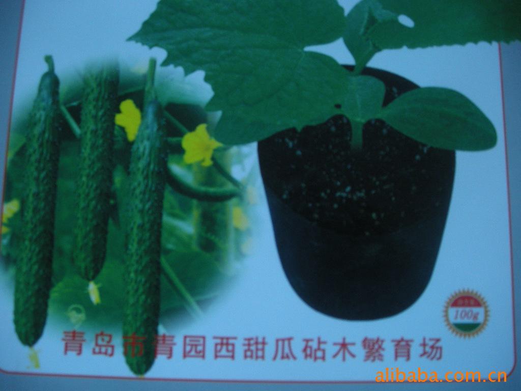 ʻƹľ