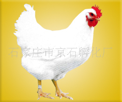 ɯؼ(ͼ)