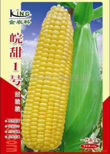 ˮ