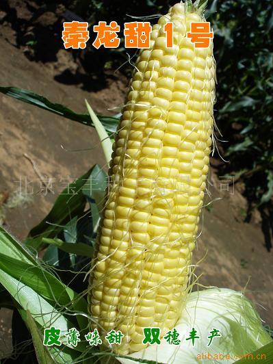 ˮ---1