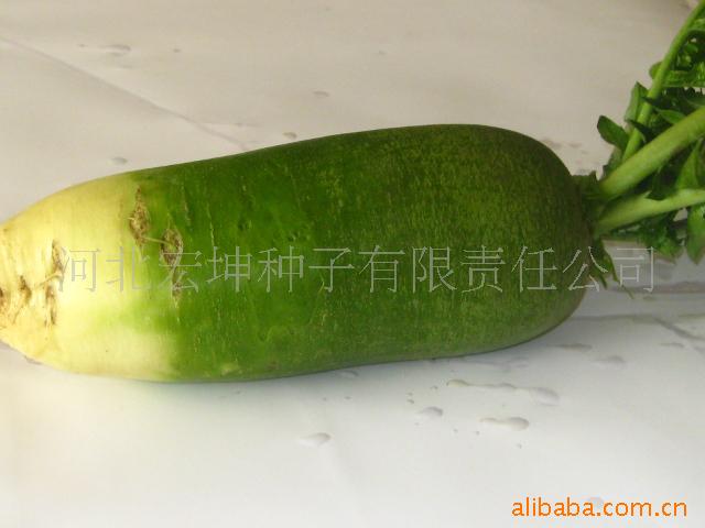 ˮܲӴ