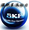 ннSKF6204-2RS1
