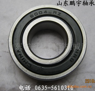 ̼6004-2RS6004ZZ
