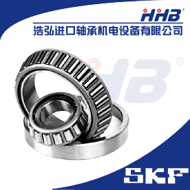 SKF˫