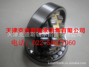 ֻ22210CDE4NSK22210CAK