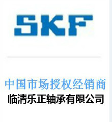 SKFNNF5024ADA-2LSV120*180*80满装圆柱滚子轴承rollerbearing