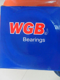 WGBָֻ22206ͺű