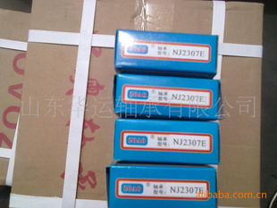ԲNJ2328EMNSK˿г
